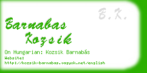 barnabas kozsik business card