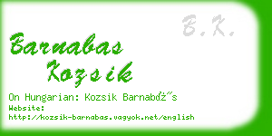 barnabas kozsik business card